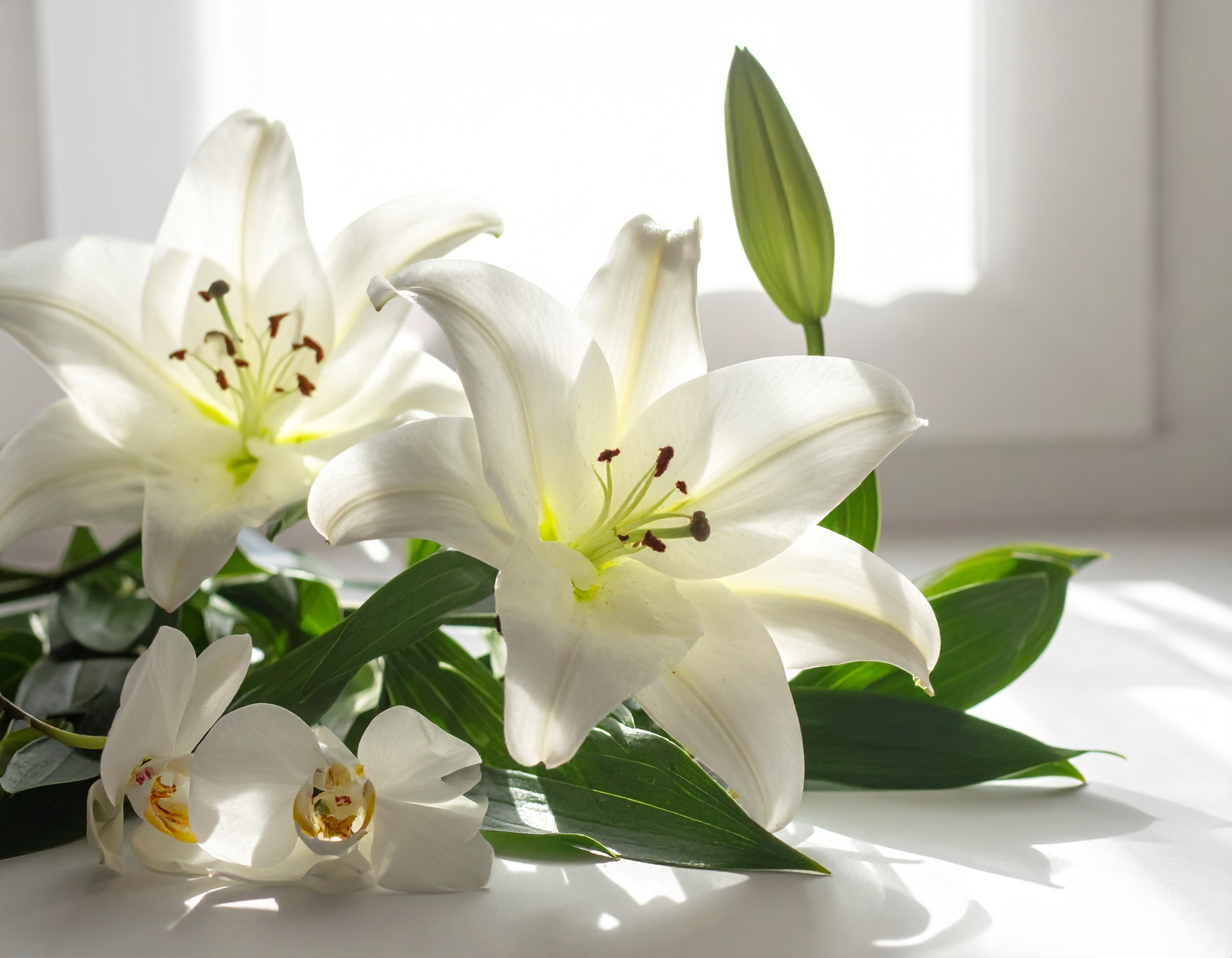 葬儀後の収益源を最大化！感動を呼ぶ動画販売とリピート戦略